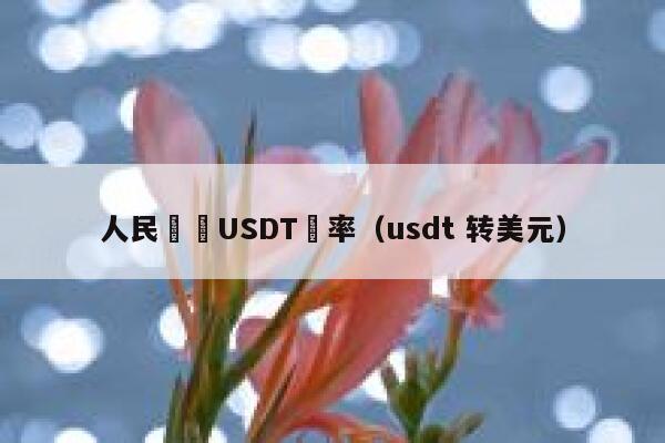 人民幣轉USDT匯率（usdt 转美元）-第1张图片-坲魔头网