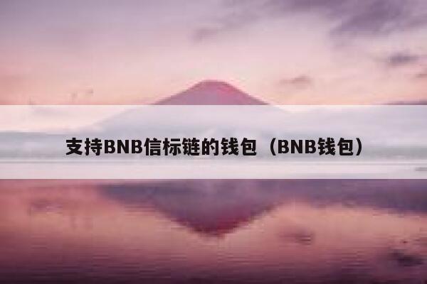 支持BNB信标链的钱包（BNB Wallet）